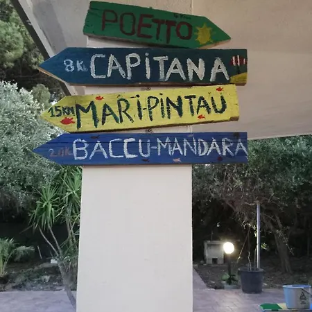 L'ulivo