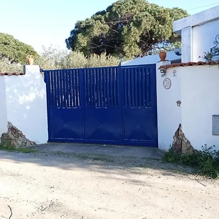 L'ulivo