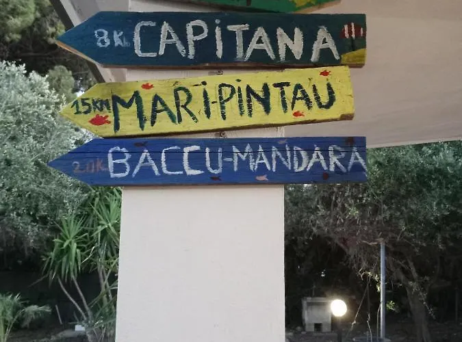 L'ulivo