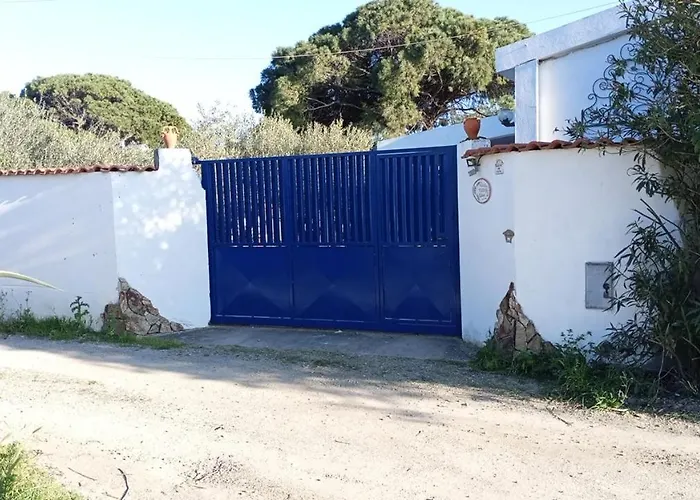 L'ulivo