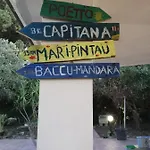 L'ulivo