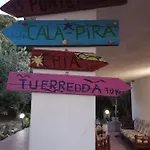 L'ulivo *