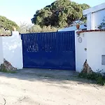 L'ulivo