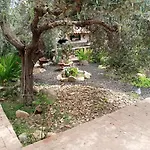 L'ulivo *
