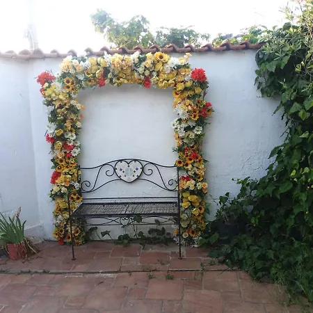 L'ulivo * Maracalagonis