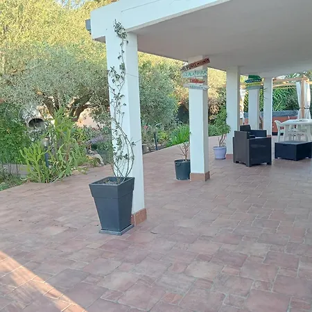 L'ulivo * Maracalagonis