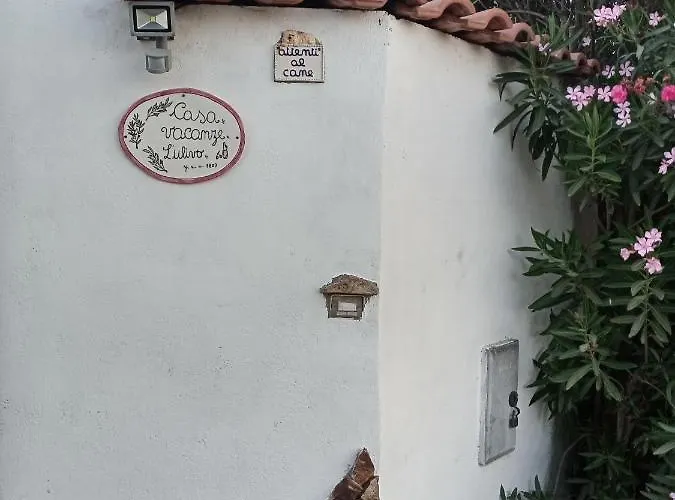 L'ulivo * Maracalagonis