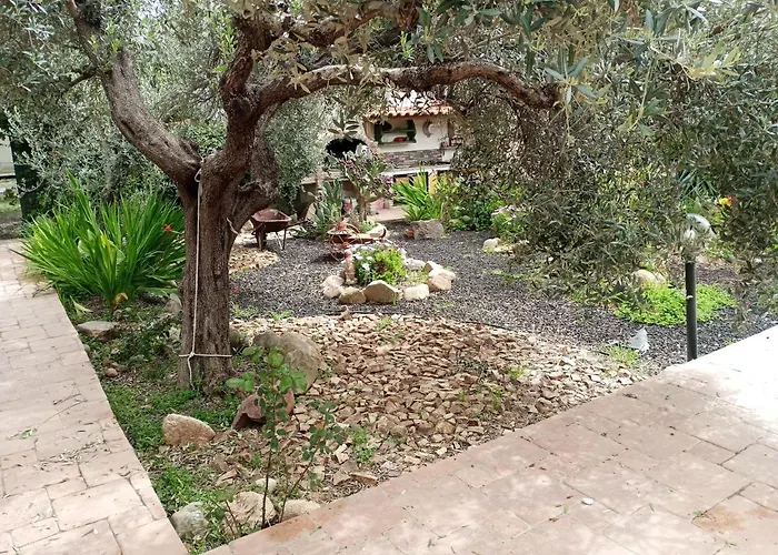 L'ulivo *