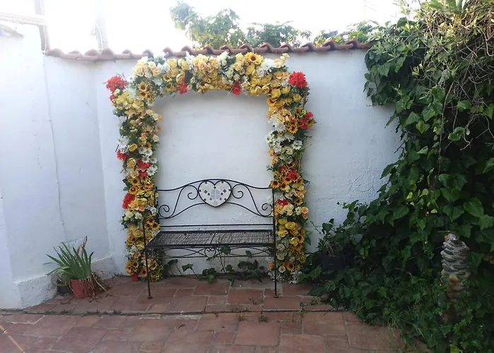 L'ulivo * Maracalagonis