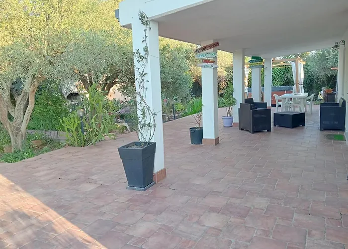 L'ulivo * Maracalagonis